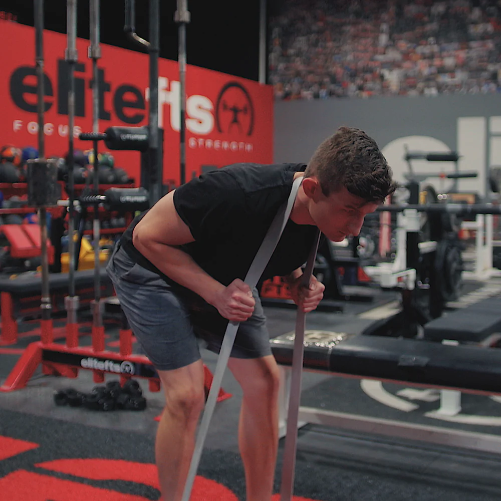 elitefts Pro Average Resistance Band - Image 4