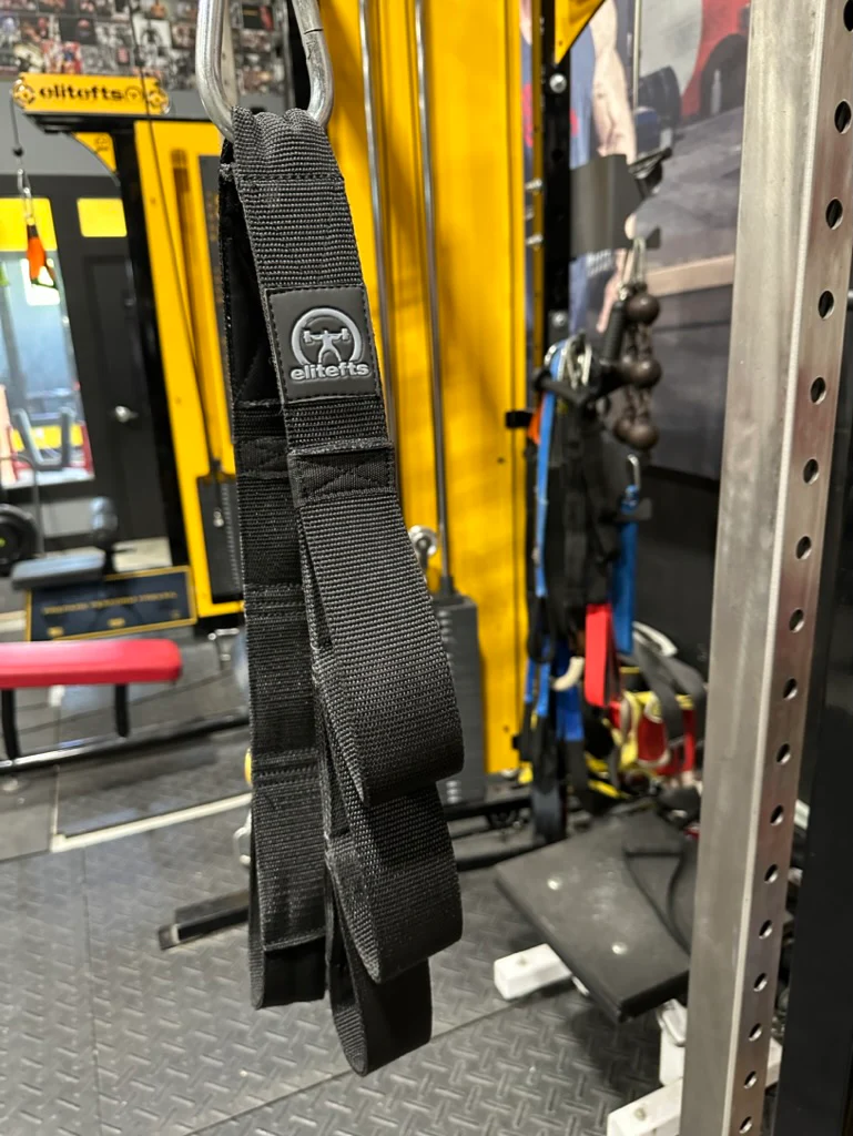 elitefts 3 Loop Tricep Strap - Image 7