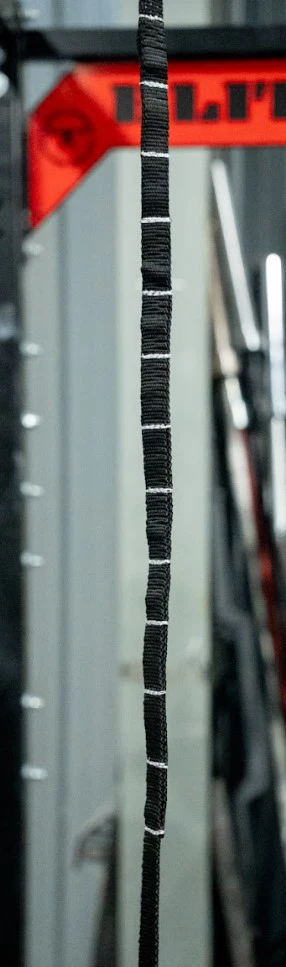 elitefts EZ Spotting Straps - Image 3