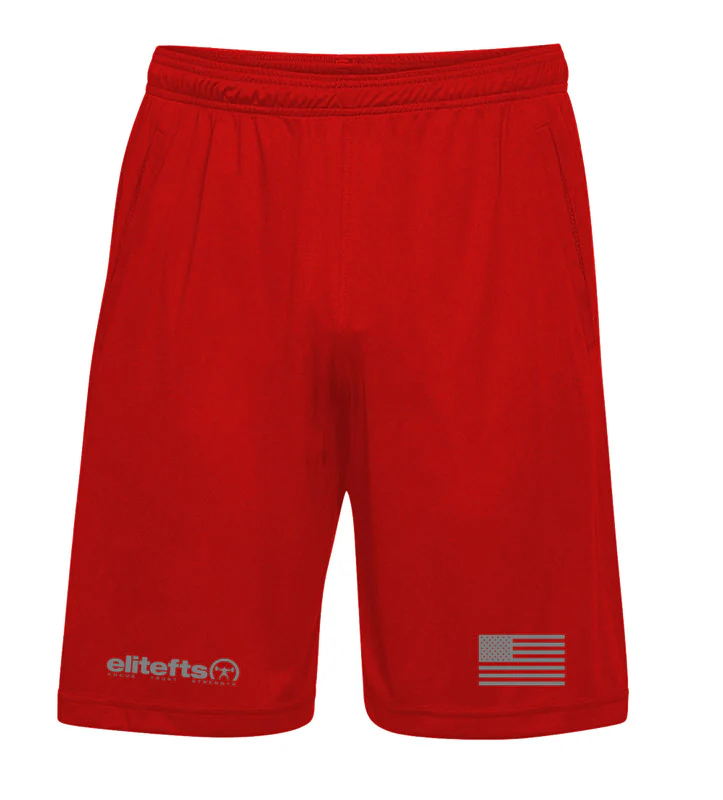 elitefts Grey Tagline and Flag Shorts - Image 3