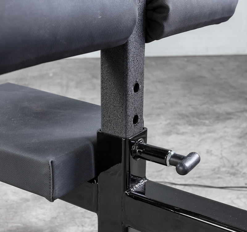 elitefts Professional Lat Pulldown with Low Pulley and 300lb Stack - Image 3