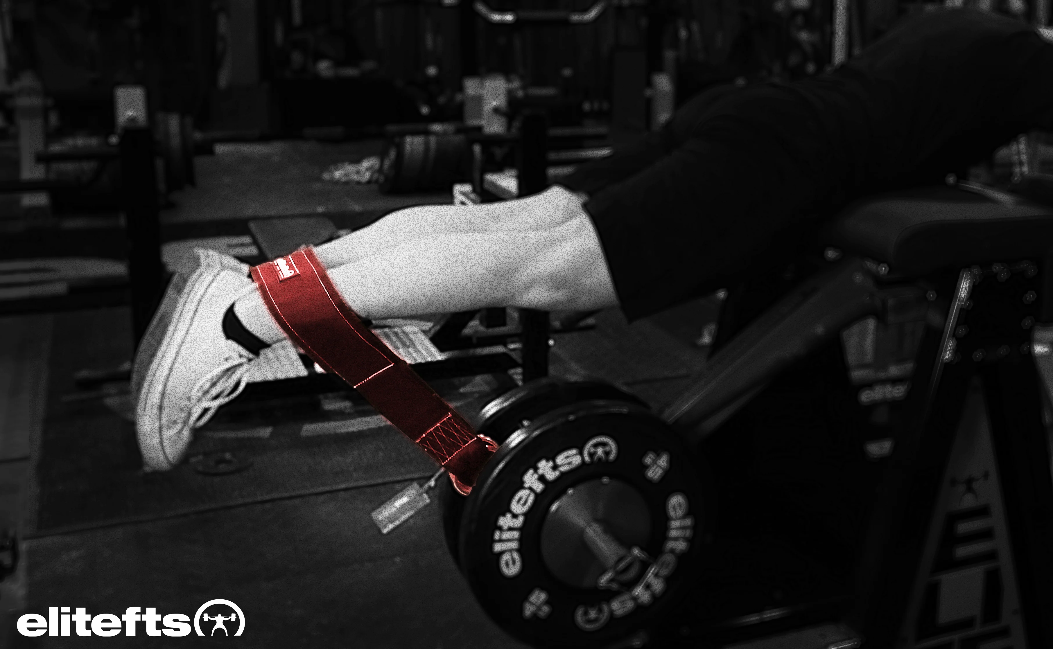 elitefts Nylon Ring Belt - Image 2