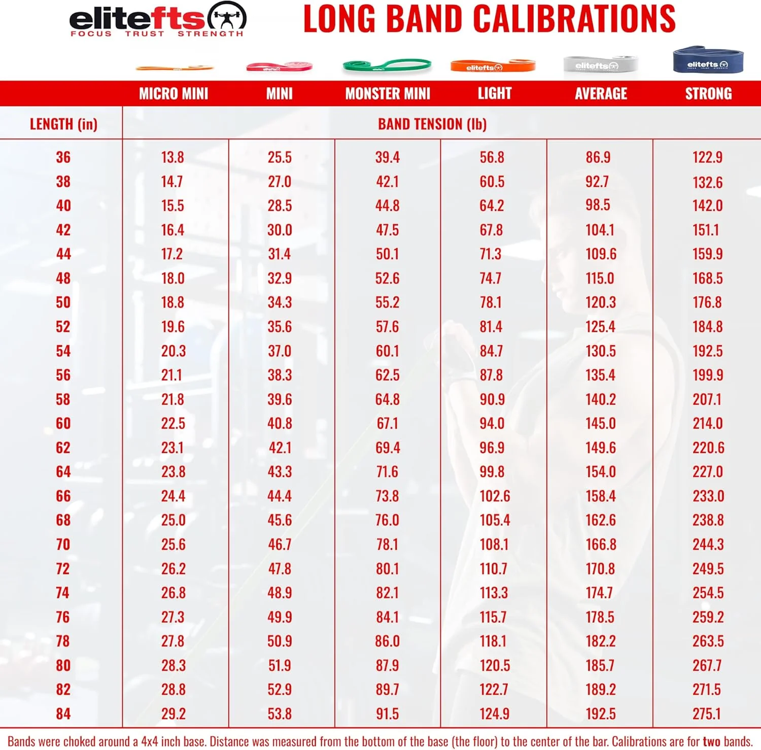 elitefts Pro Average Resistance Band - Image 6