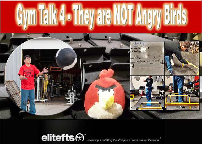 Gym Talk 4: They Are NOT Angry Birds (eBook)