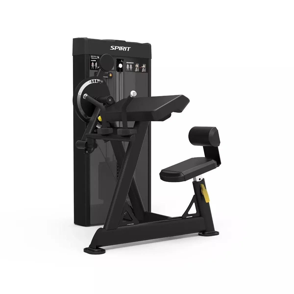Spirit Dual Biceps/Triceps Machine