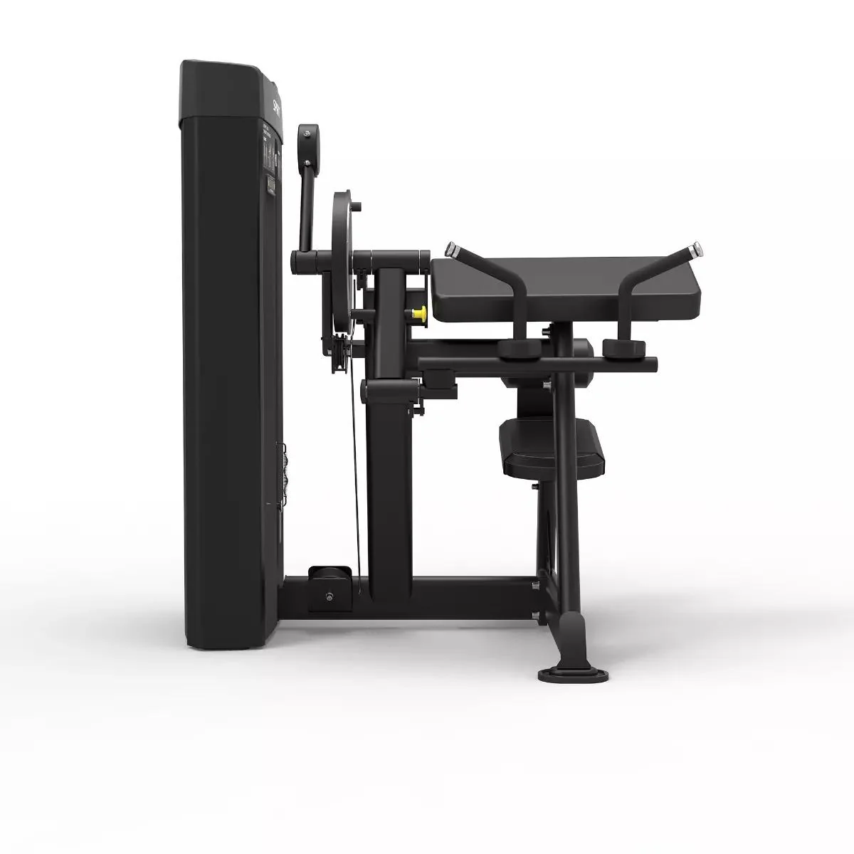 Spirit Dual Biceps/Triceps Machine - Image 2