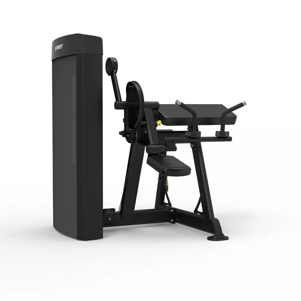 Spirit Dual Biceps/Triceps Machine - Image 3