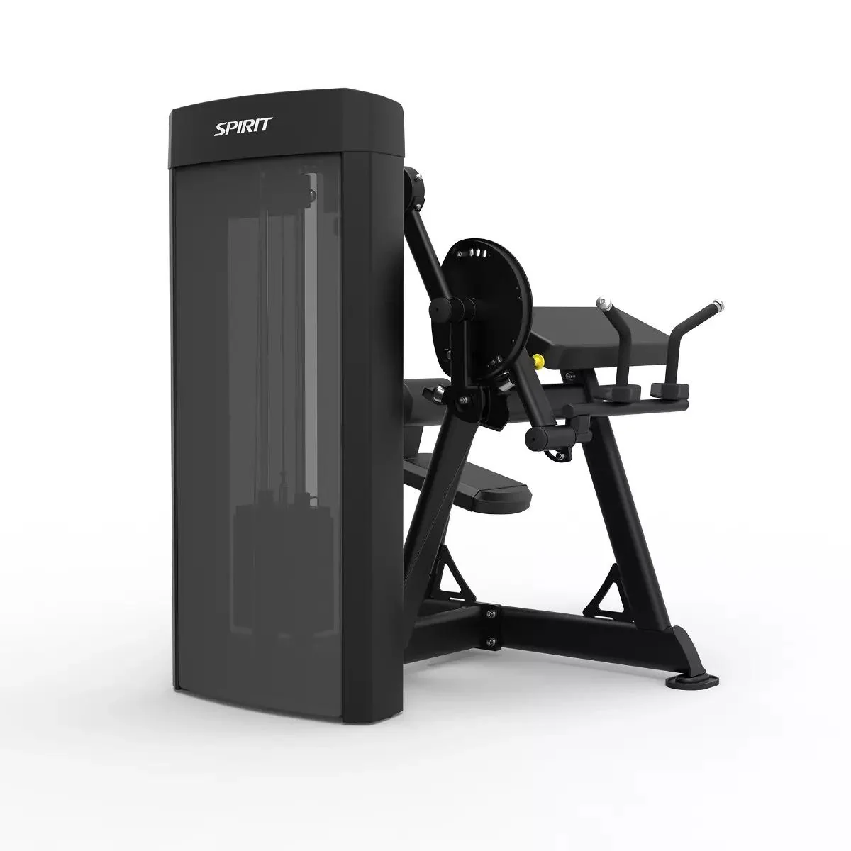 Spirit Dual Biceps/Triceps Machine - Image 4